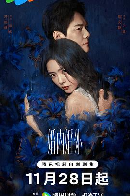婚內(nèi)婚外 第12集