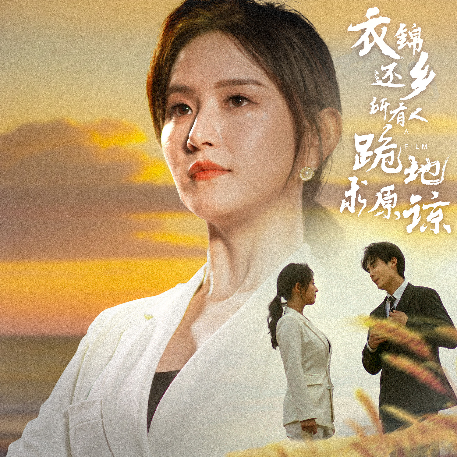 衣錦還鄉(xiāng)，所有人跪地求原諒(全集)