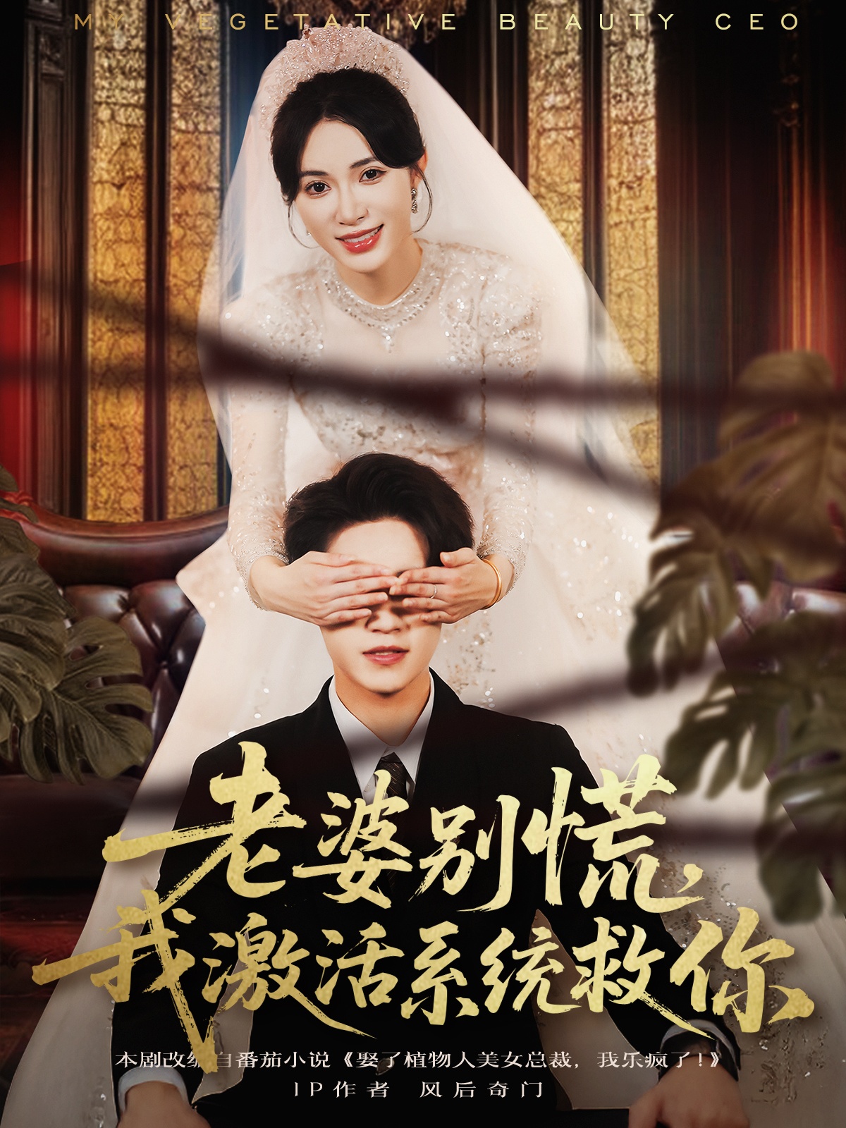 老婆別慌，我激活系統(tǒng)救你(全集)