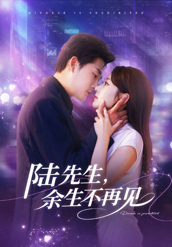 陸先生，余生不再見(全集)