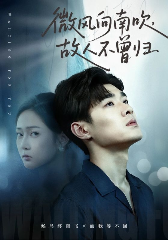 微風向南吹，故人不曾歸(全集)