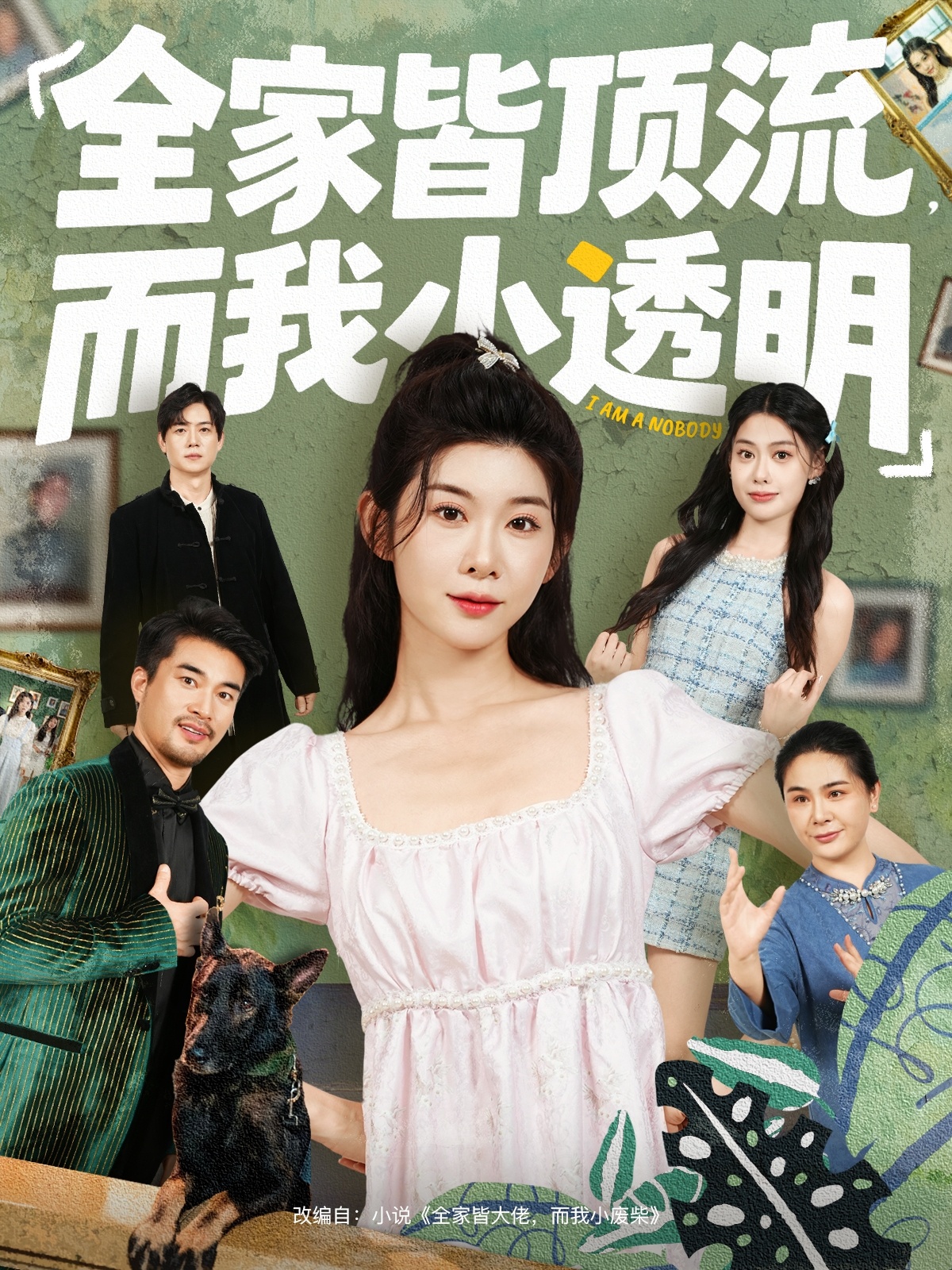 全家皆頂流，而我小透明(全集)